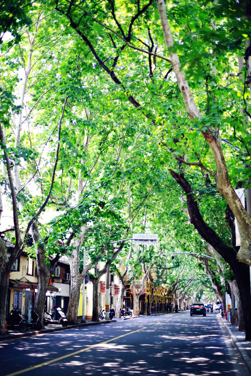 Changle Road: Reading a Street Before It Changes